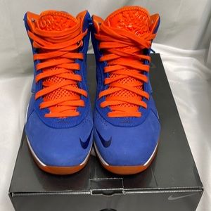 Lebron 8 Hardwood Classics